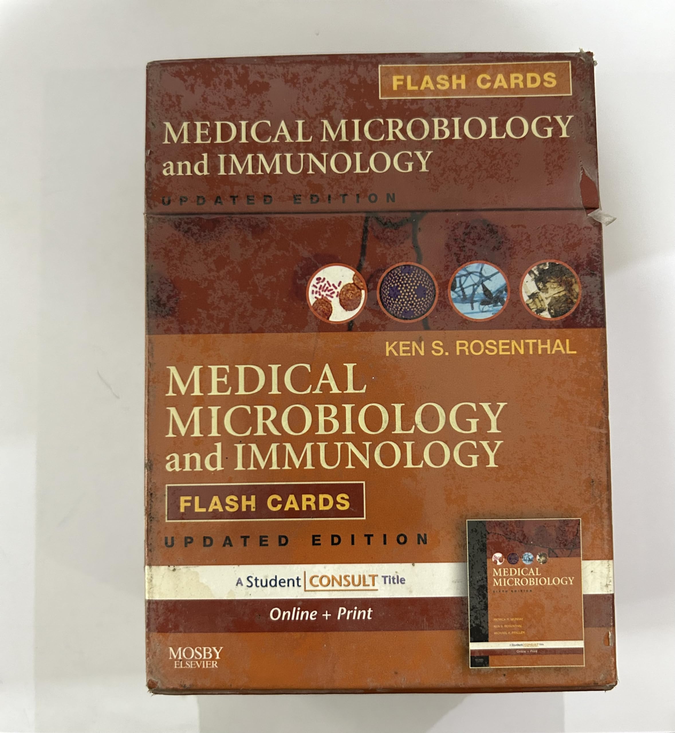 Medical Microbiology