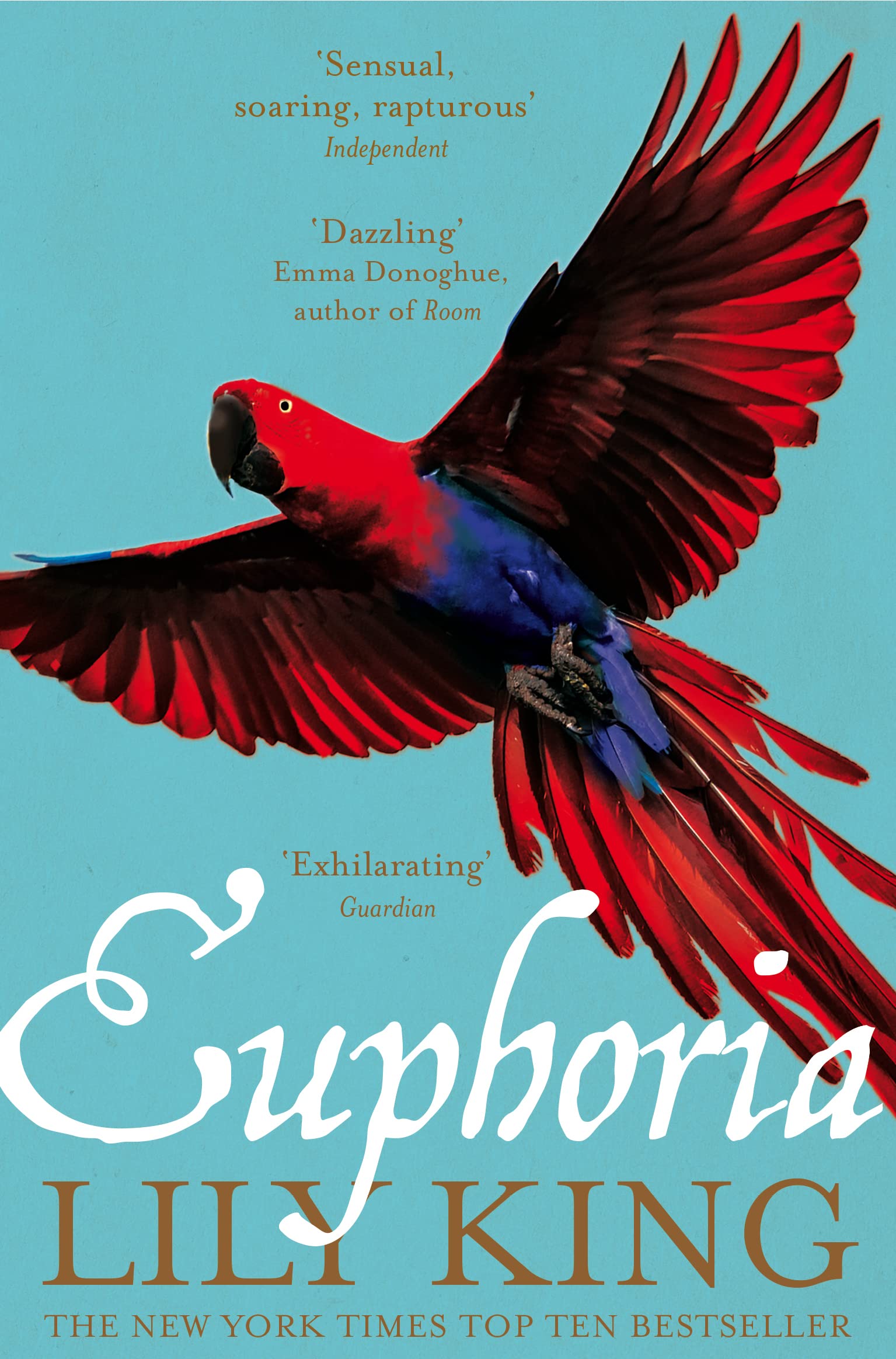 Euphoria: Lily King