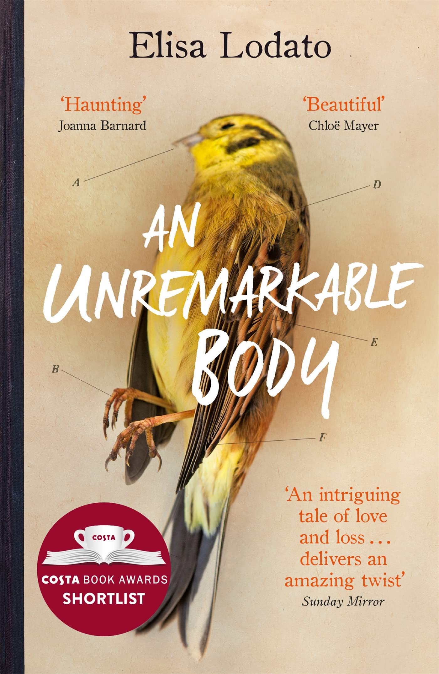 An Unremarkable Body: Shortlisted for the Costa First Novel Award 2018