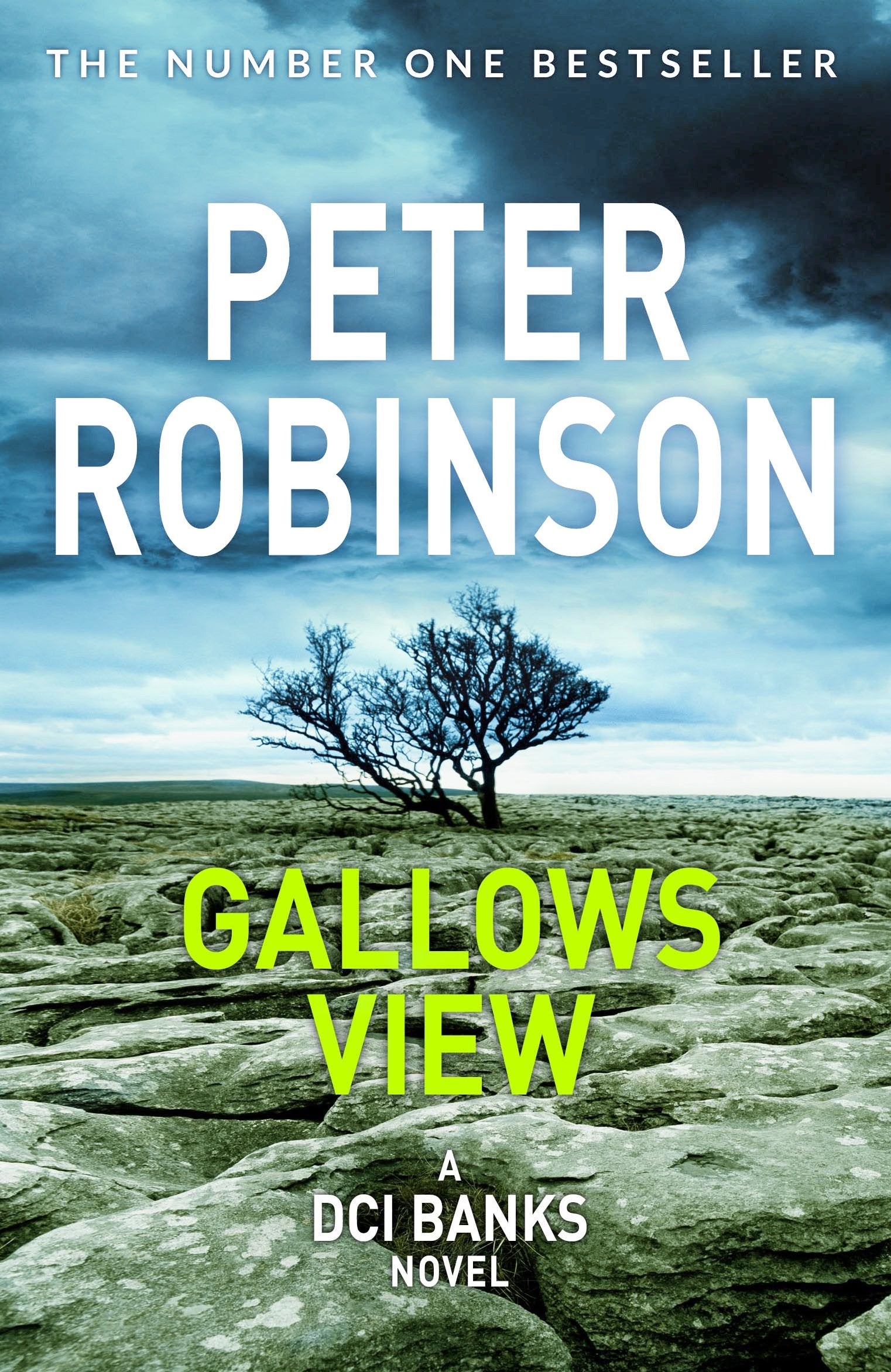 Gallows View: The first novel in the number one bestselling Inspector Banks series