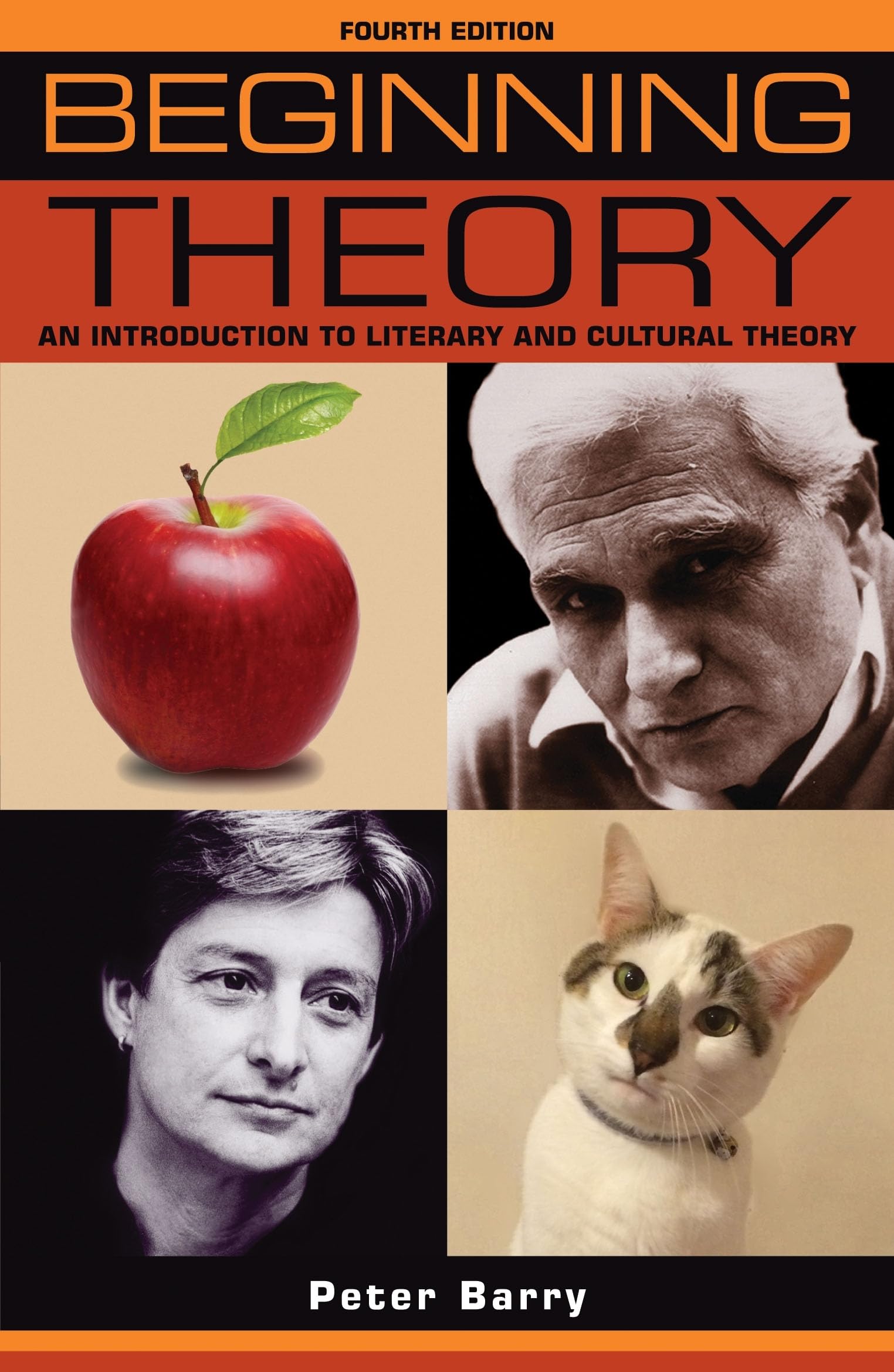 Beginning Theory: An introduction to literary and cultural theory: Fourth edition