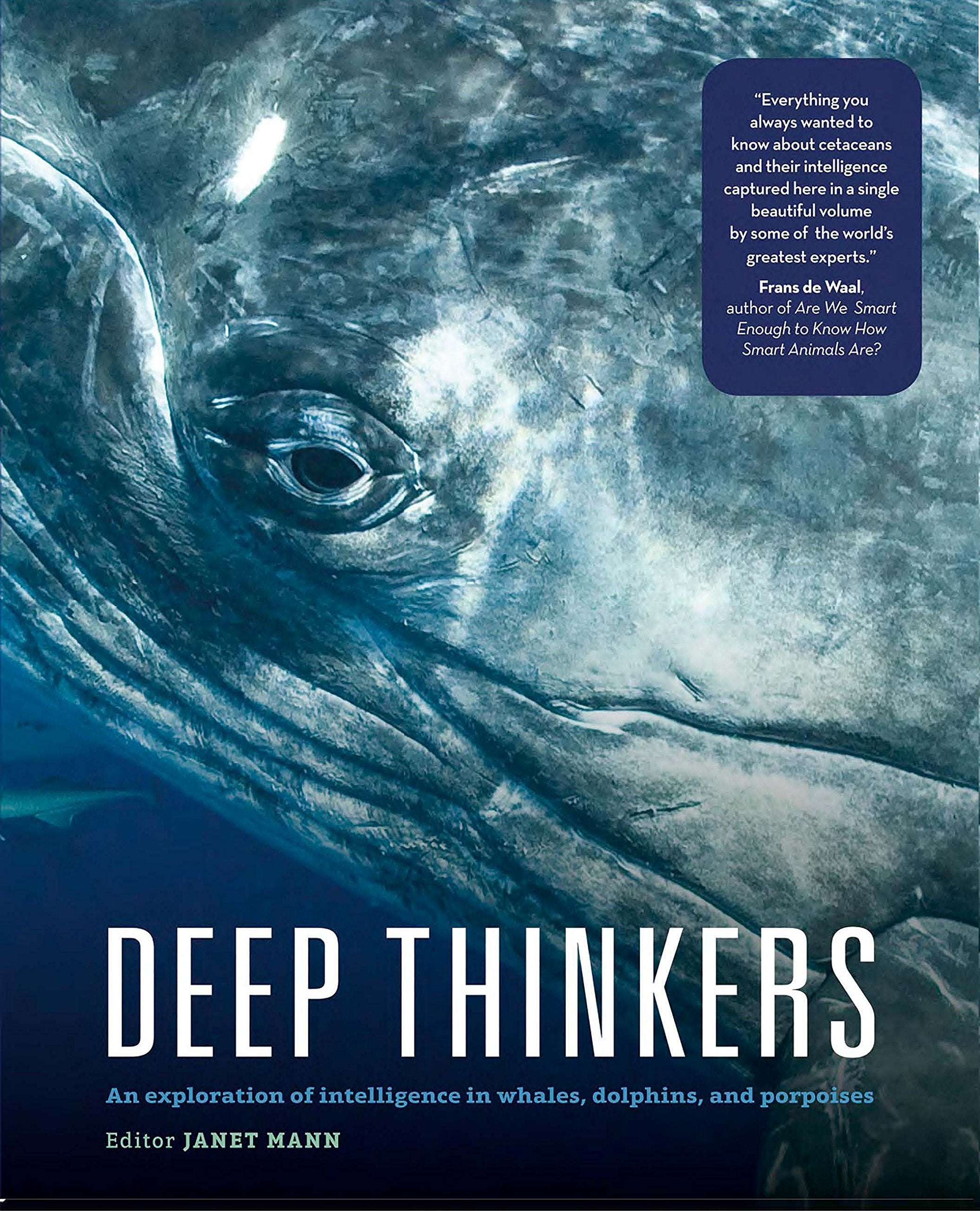 Deep Thinkers: An exploration of intelligence in whales, dolphins, and porpoises