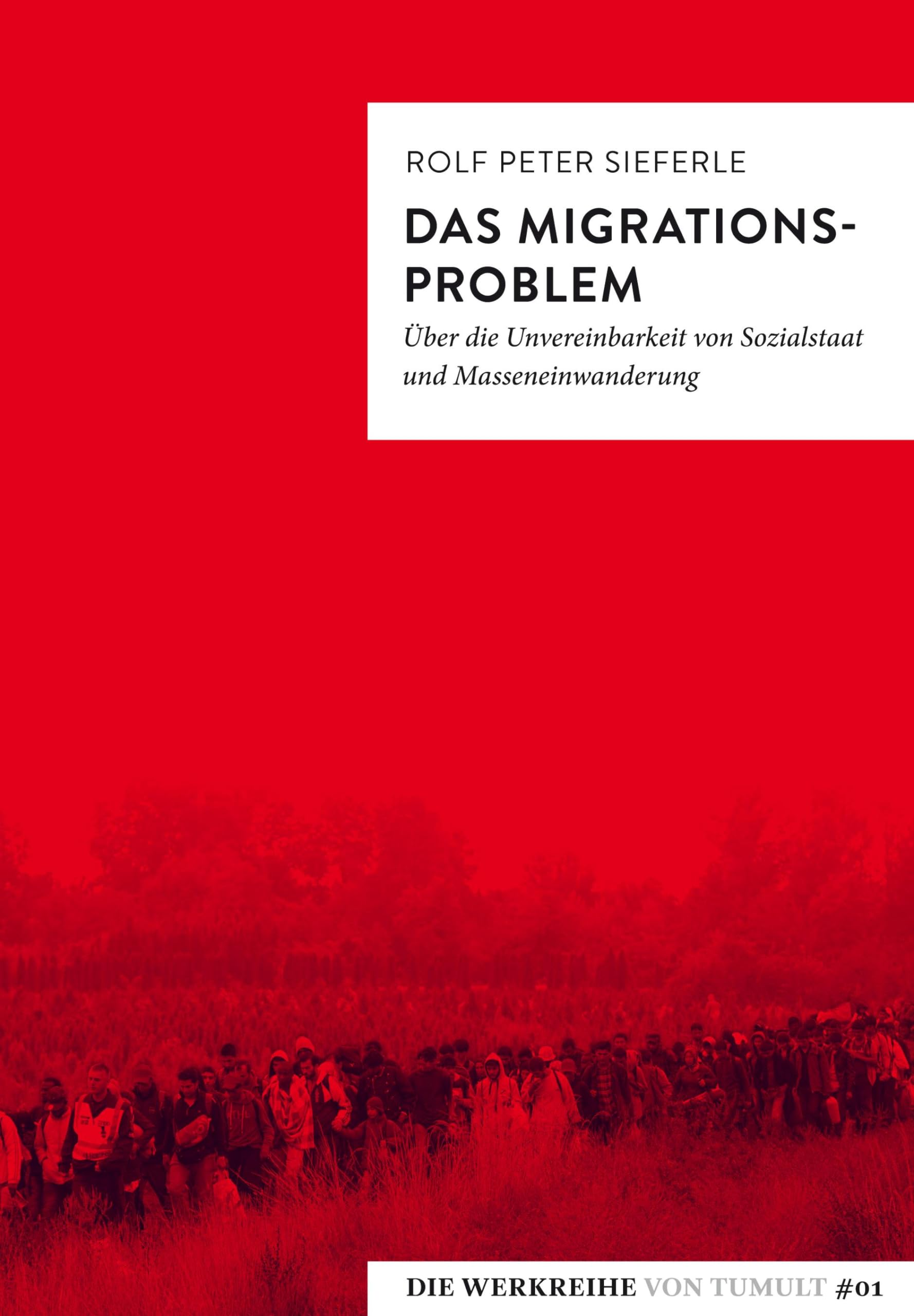 Das Migrationsproblem: Über die Unvereinbarkeit von Sozialstaat und Masseneinwanderung: 1