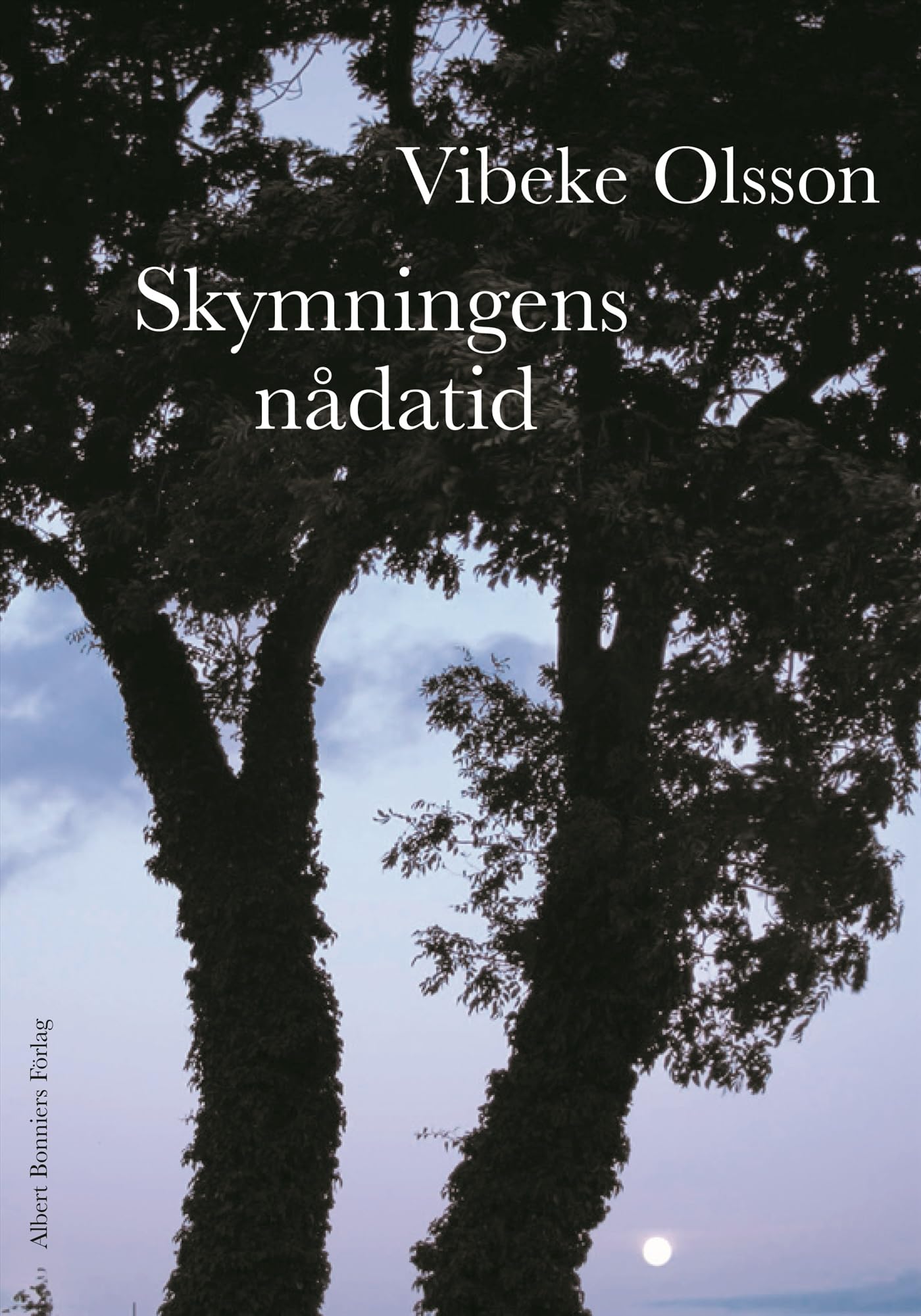 Skymningens nådatid