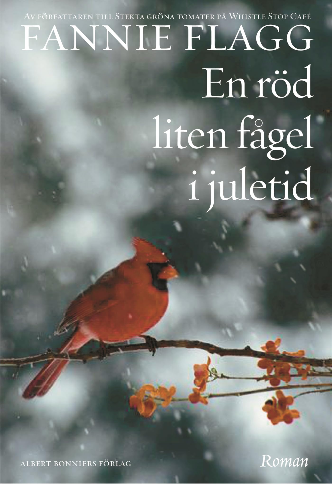 En röd liten fågel i juletid