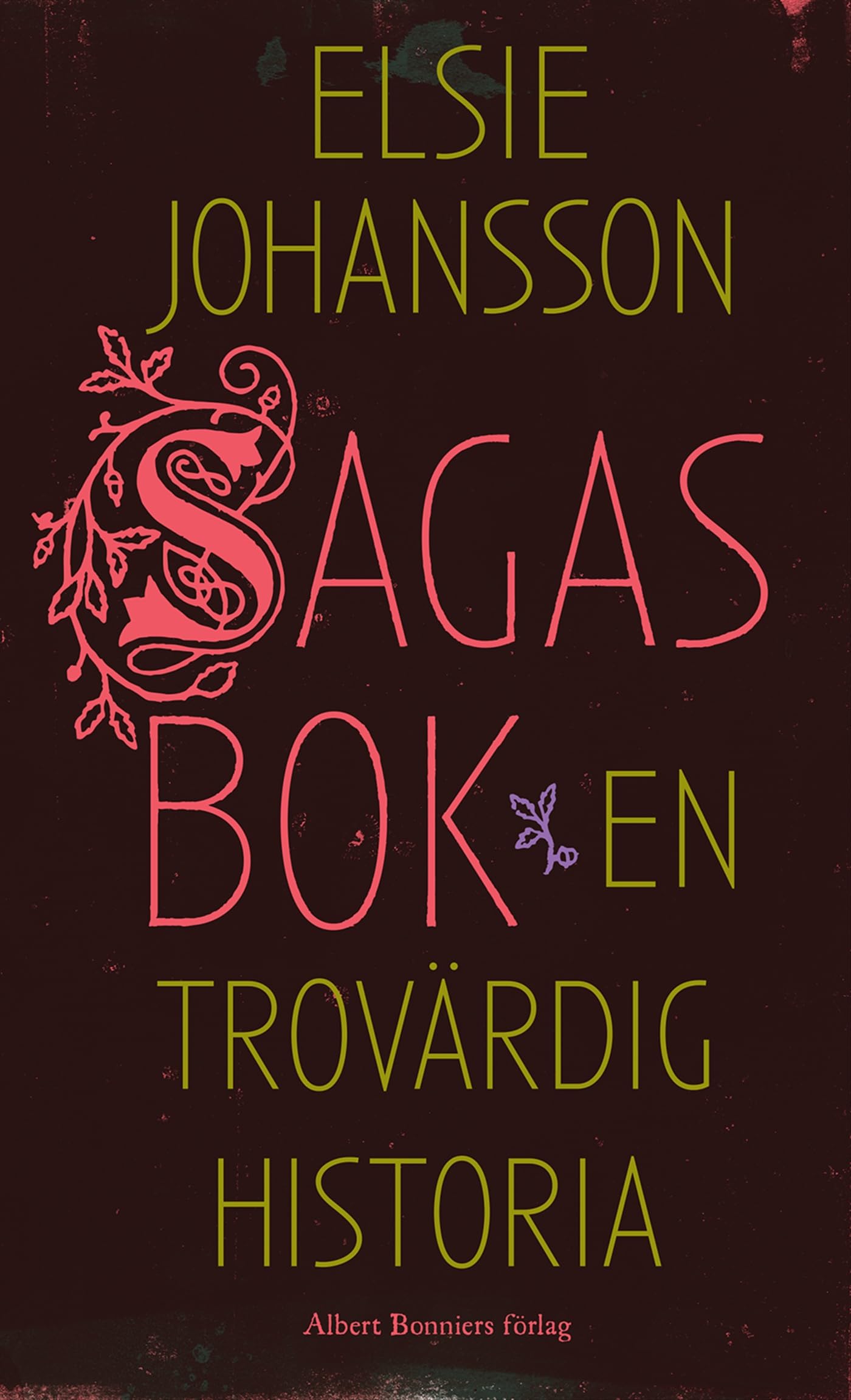 Sagas bok : en trovärdig historia