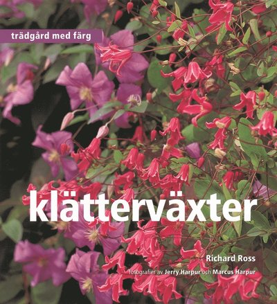 Klätterväxter : Trädgård med färg