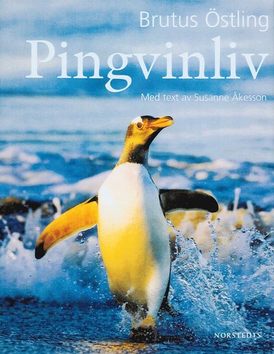 Pingvinliv