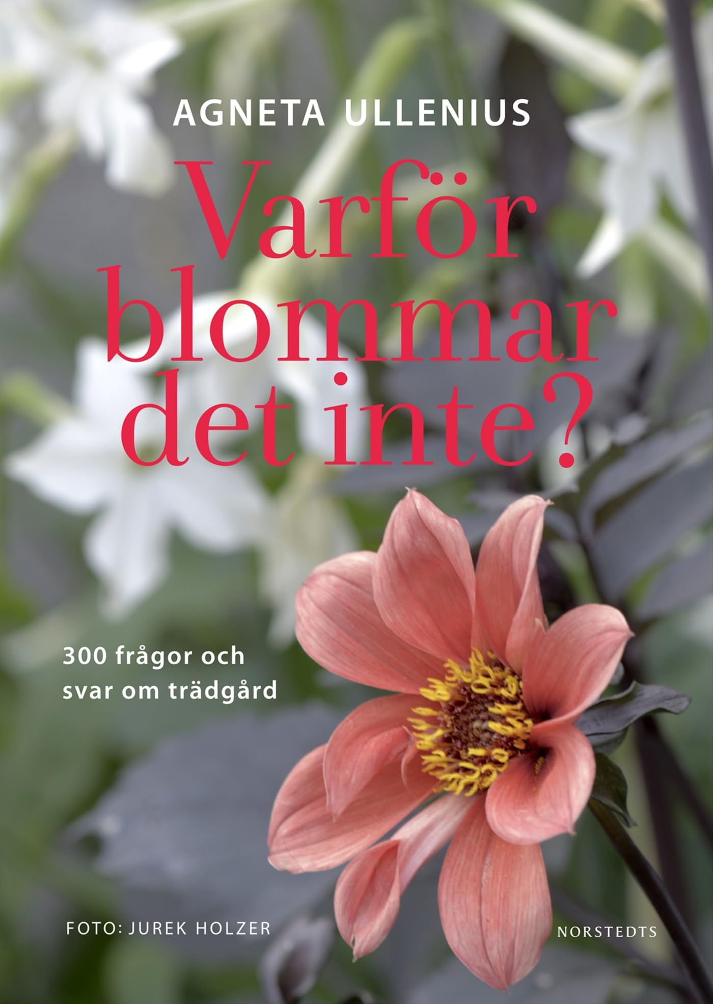 Varför blommar det inte? 300 frågor och svar om trädgård