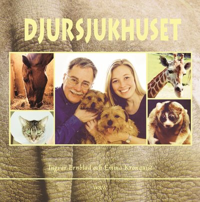 Djursjukhuset