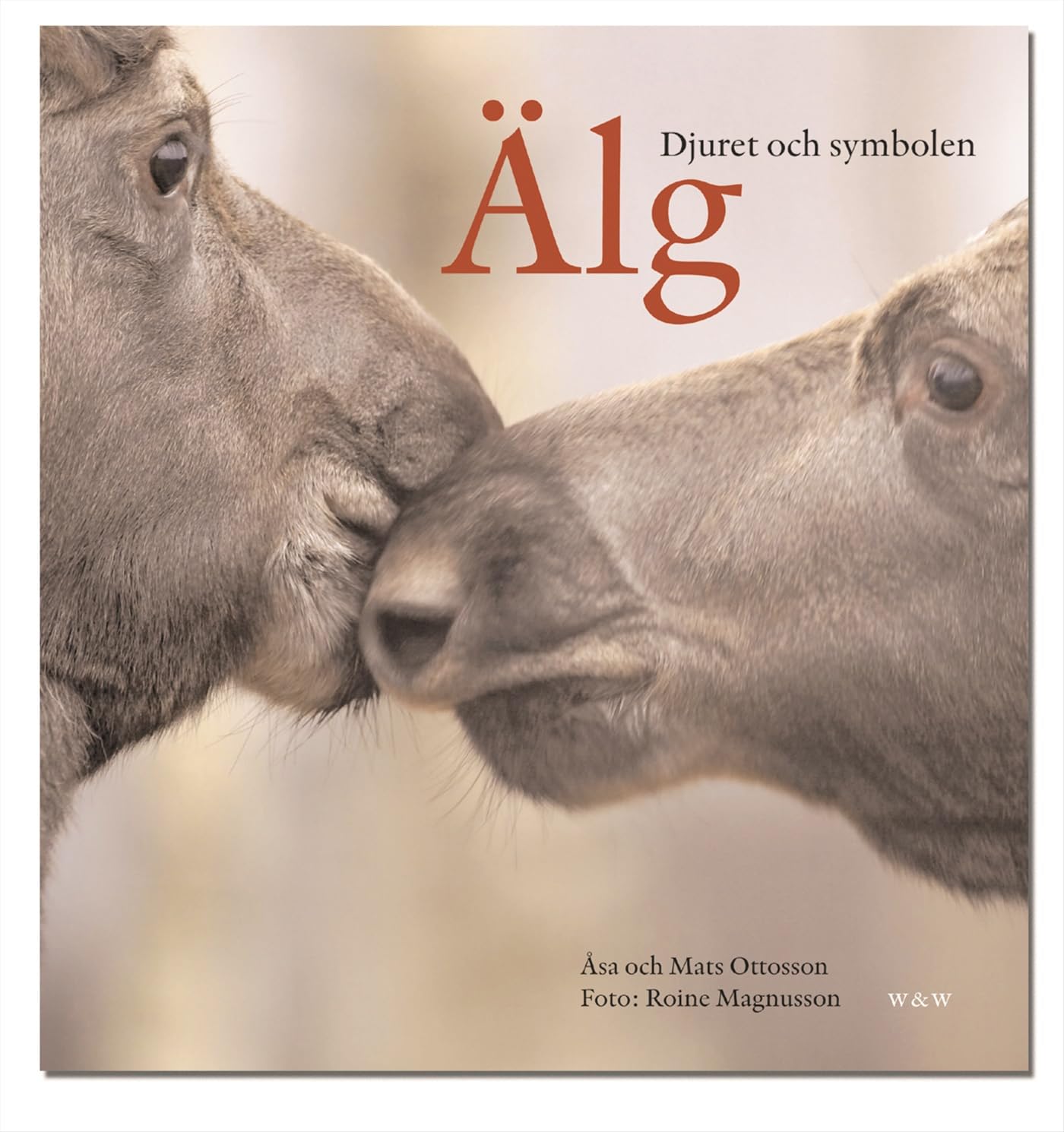 Älg : i skog, myt och gryta