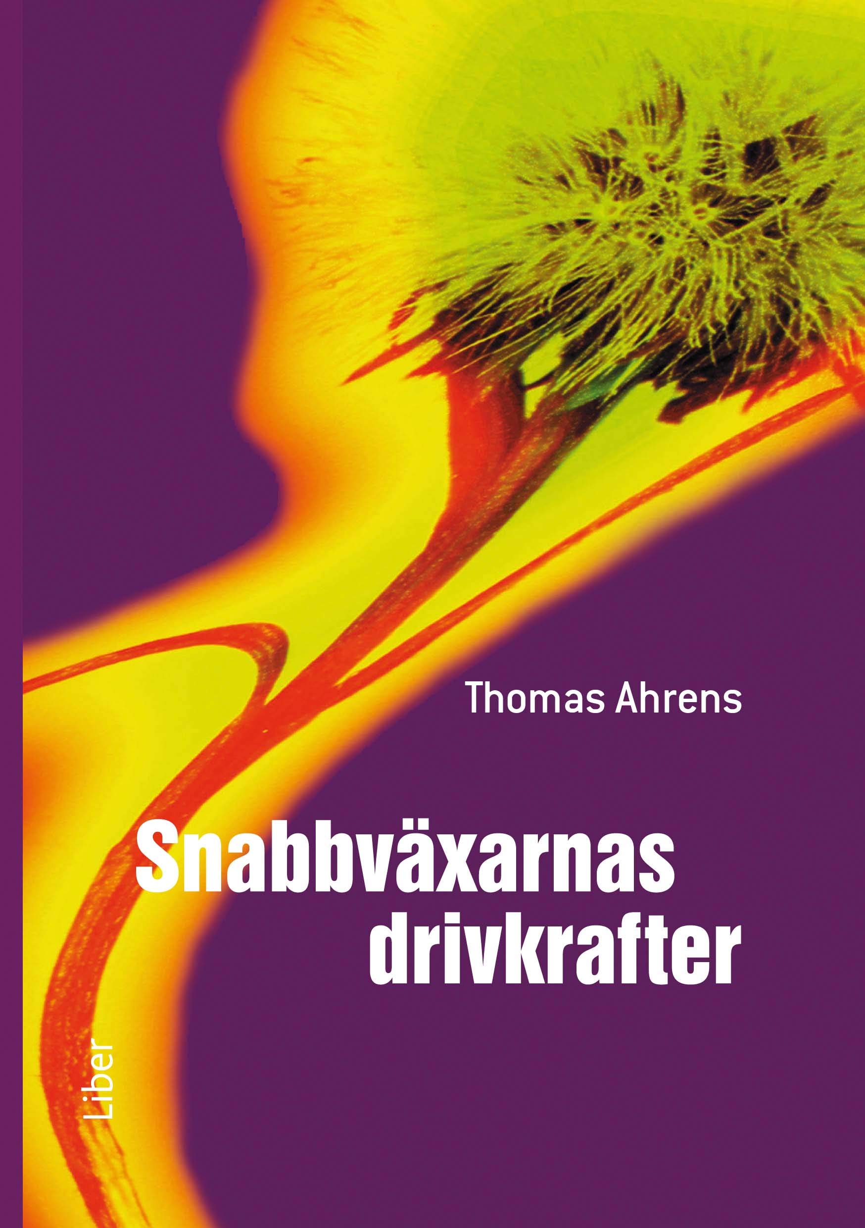 Snabbväxarnas drivkrafter