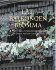 Låt balkongen blomma : ettåriga sommarblommor för lådor, krukor och rabatter