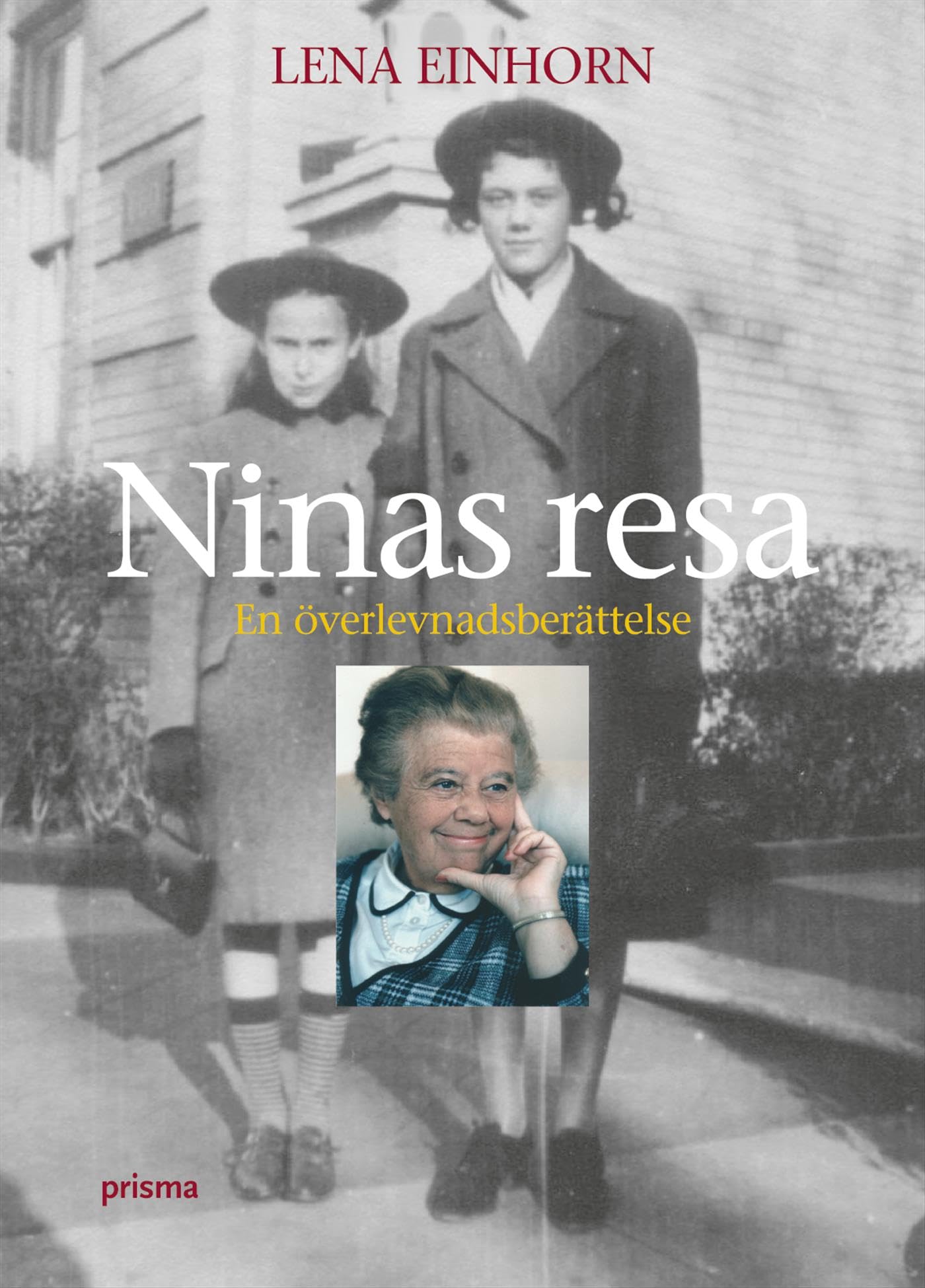 Ninas resa : en överlevnadsberättelse