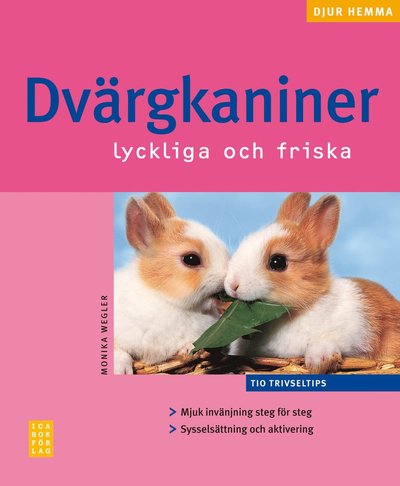 Dvärgkaniner : lyckliga och friska