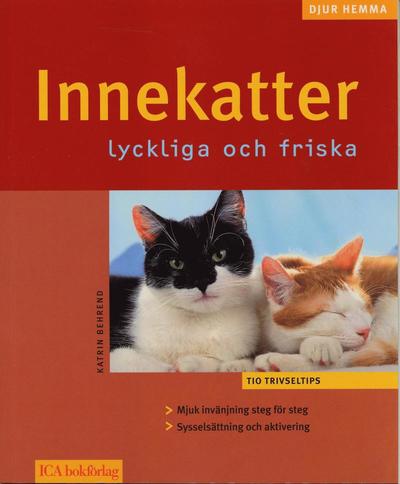 Innekatter : lyckliga och friska