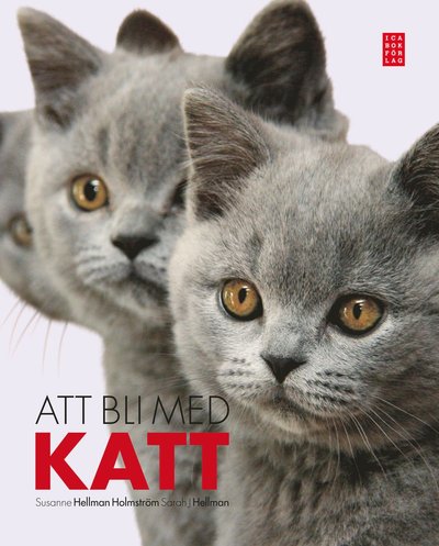 Att bli med katt