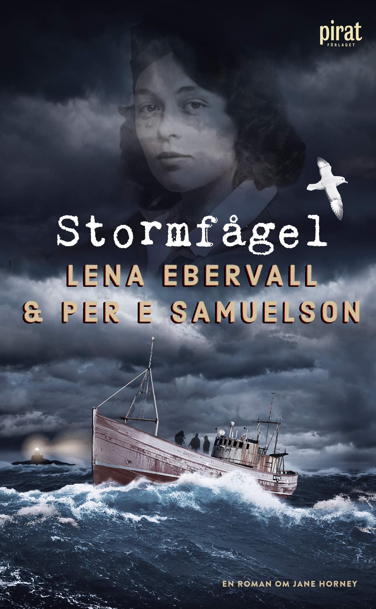 Stormfågel