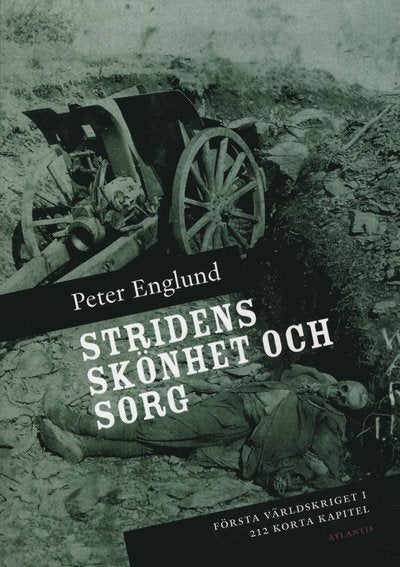 Stridens skönhet och sorg : första världskriget i 212 korta kapitel