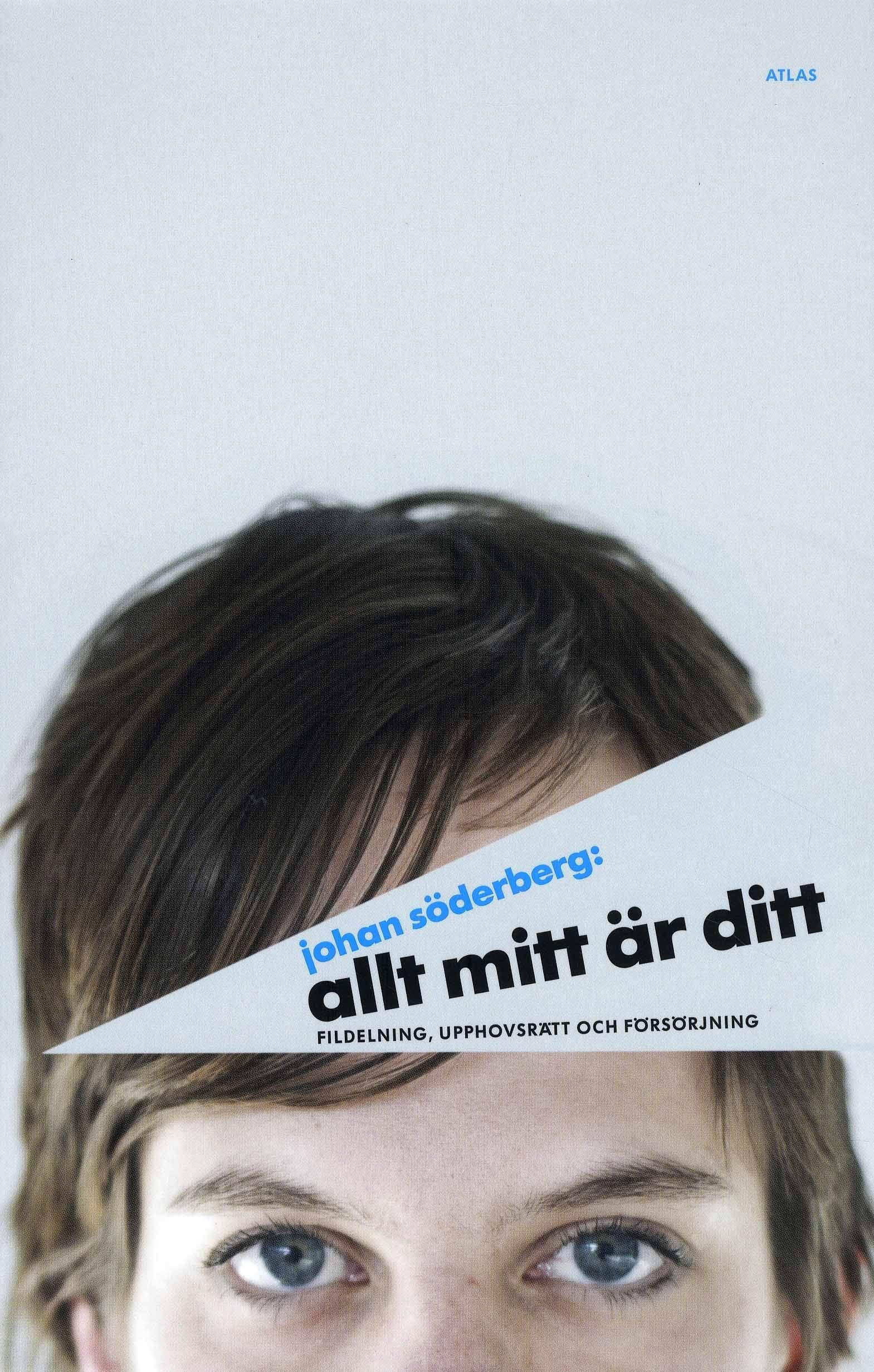 Allt mitt är ditt : fildelning, upphovsrätt och försörjning