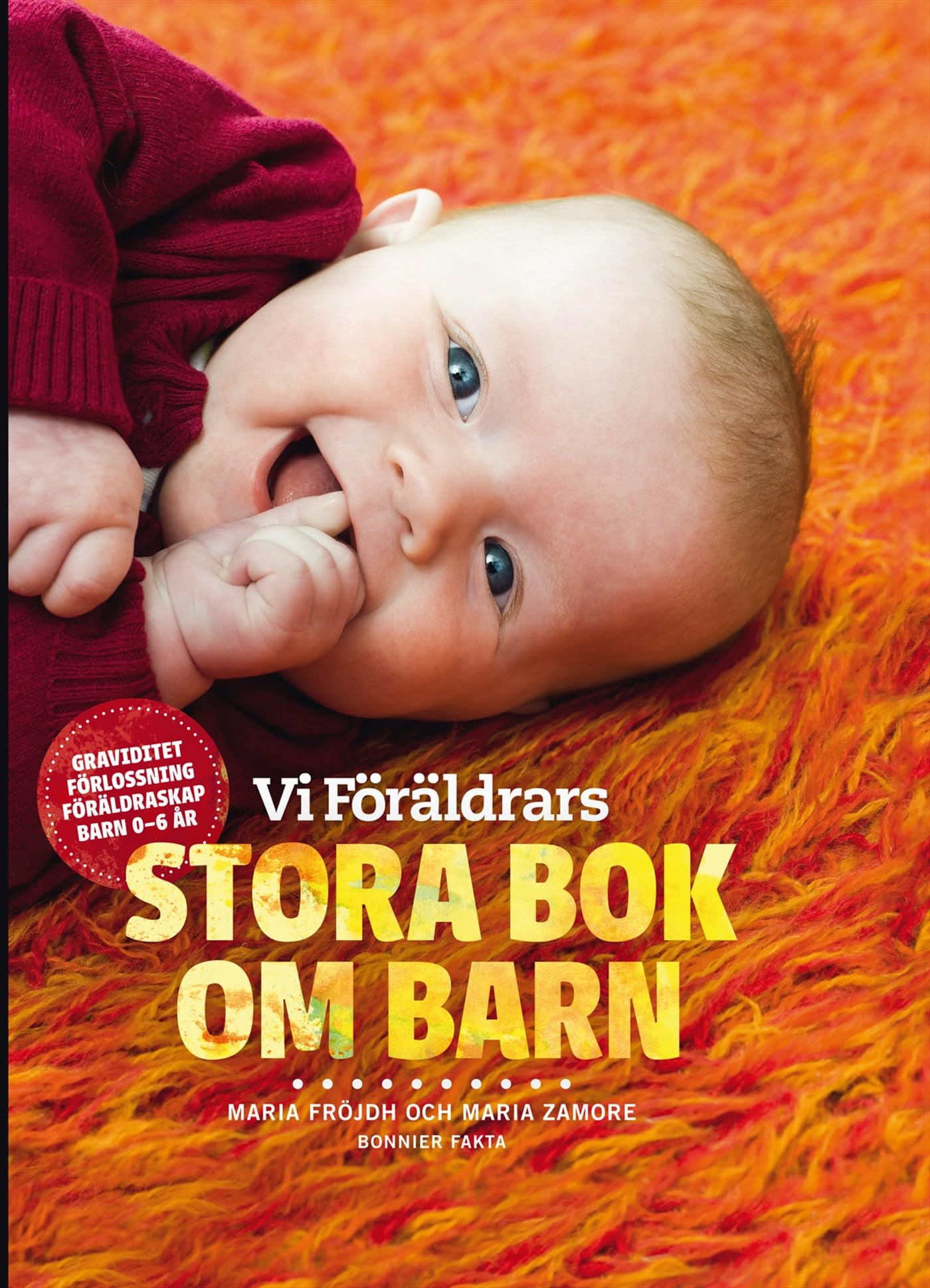 Vi Föräldrars stora bok om barn : graviditet, förlossning, föräldraskap, barn 0-6 år