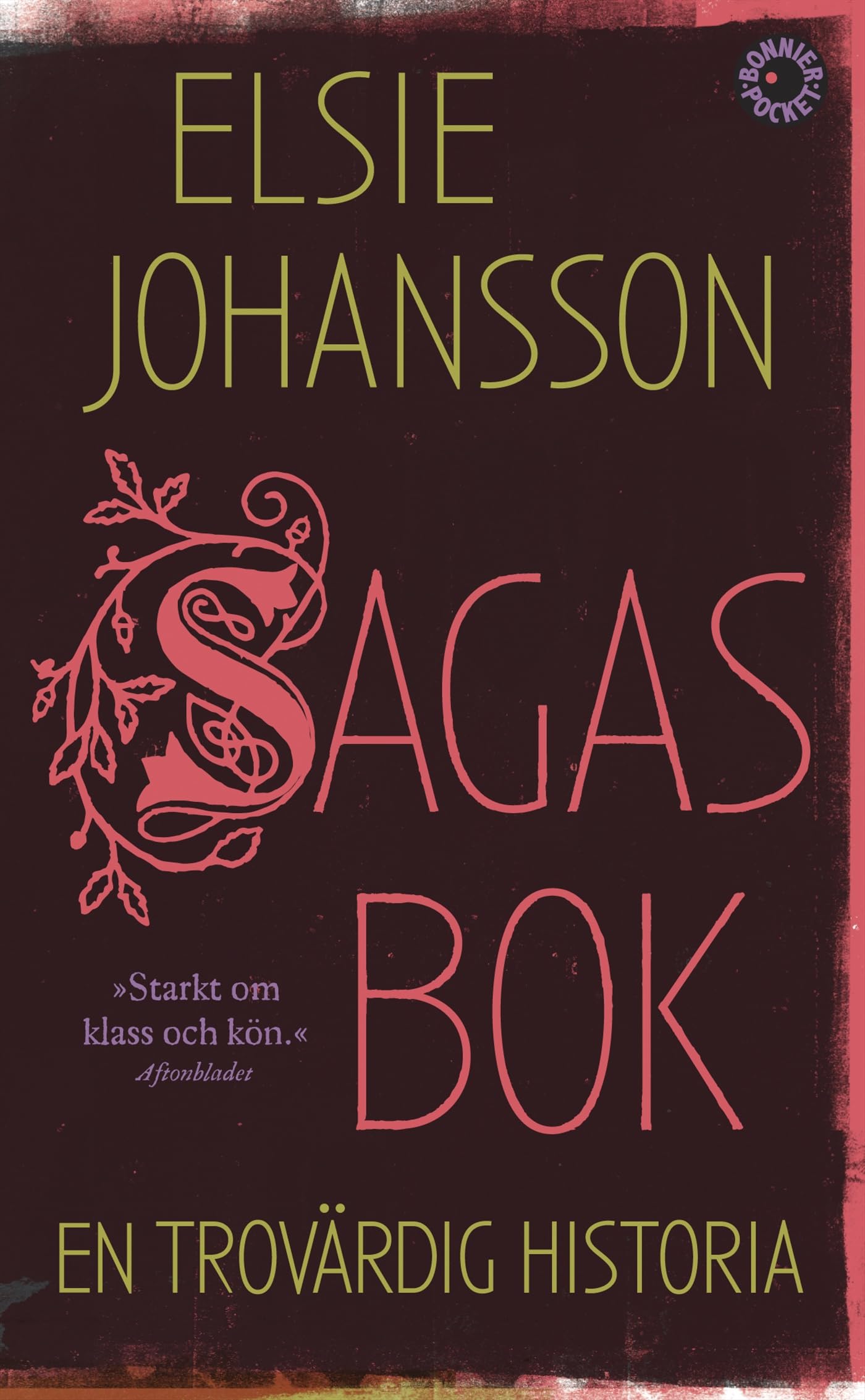 Sagas bok : en trovärdig historia