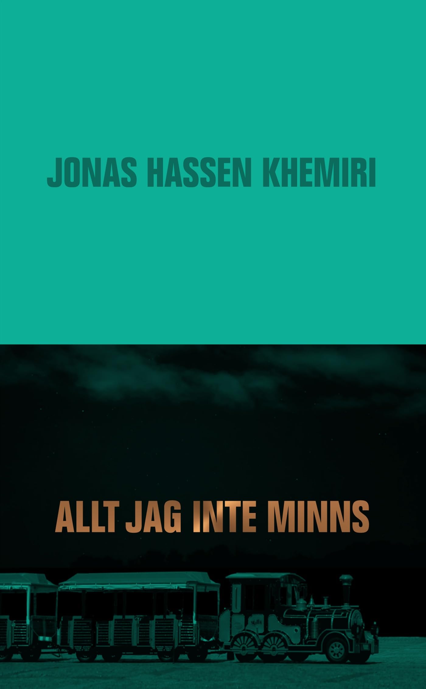 Allt jag inte minns