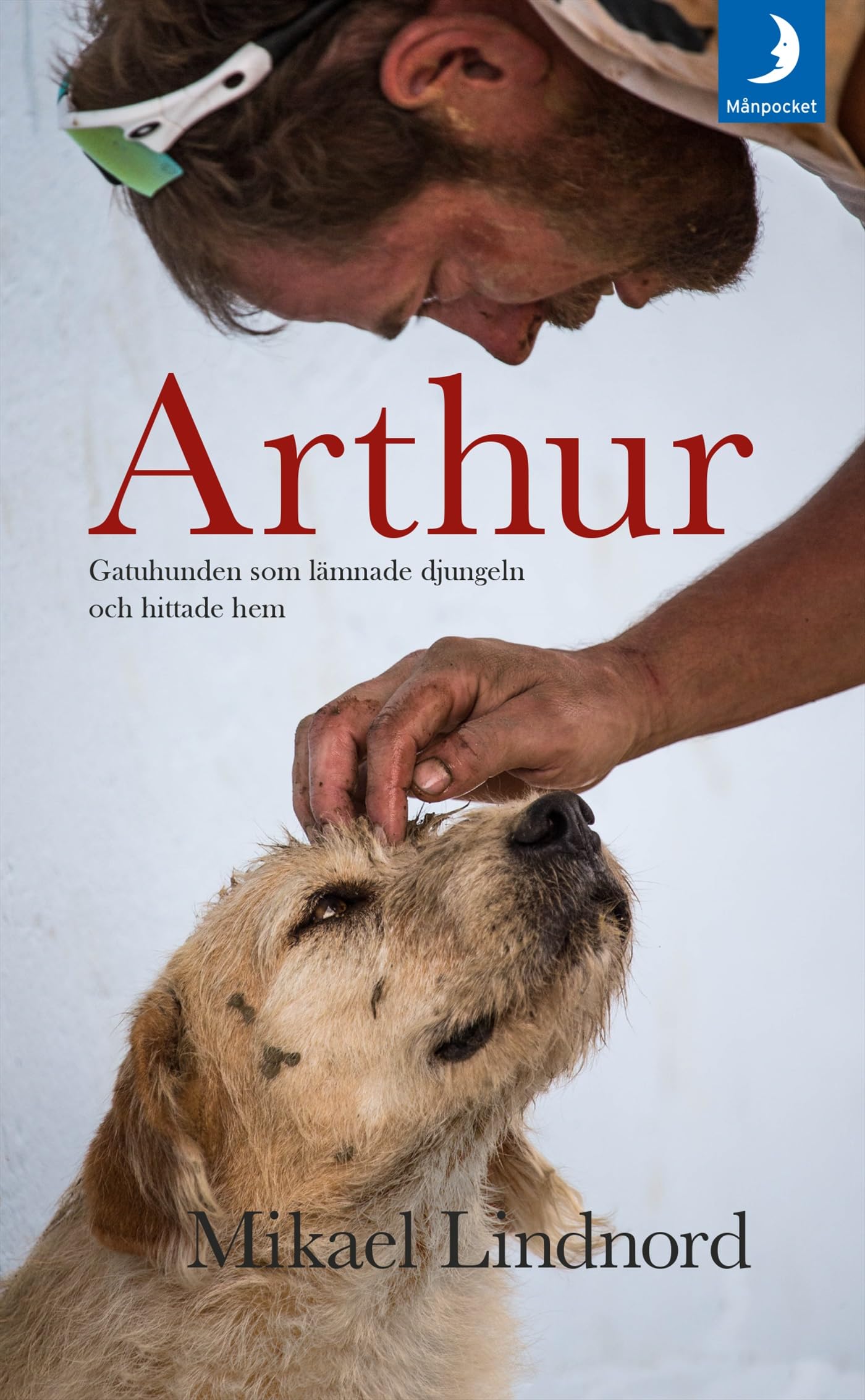 Arthur : gatuhunden som lämnade djungeln och hittade hem