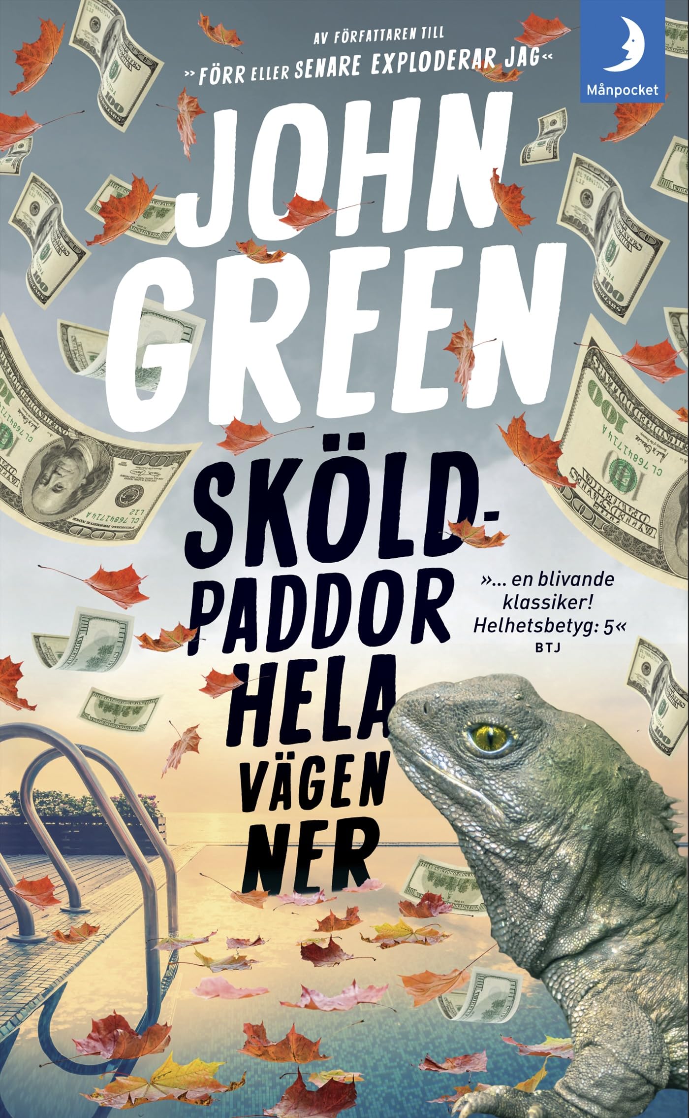 Sköldpaddor hela vägen ner