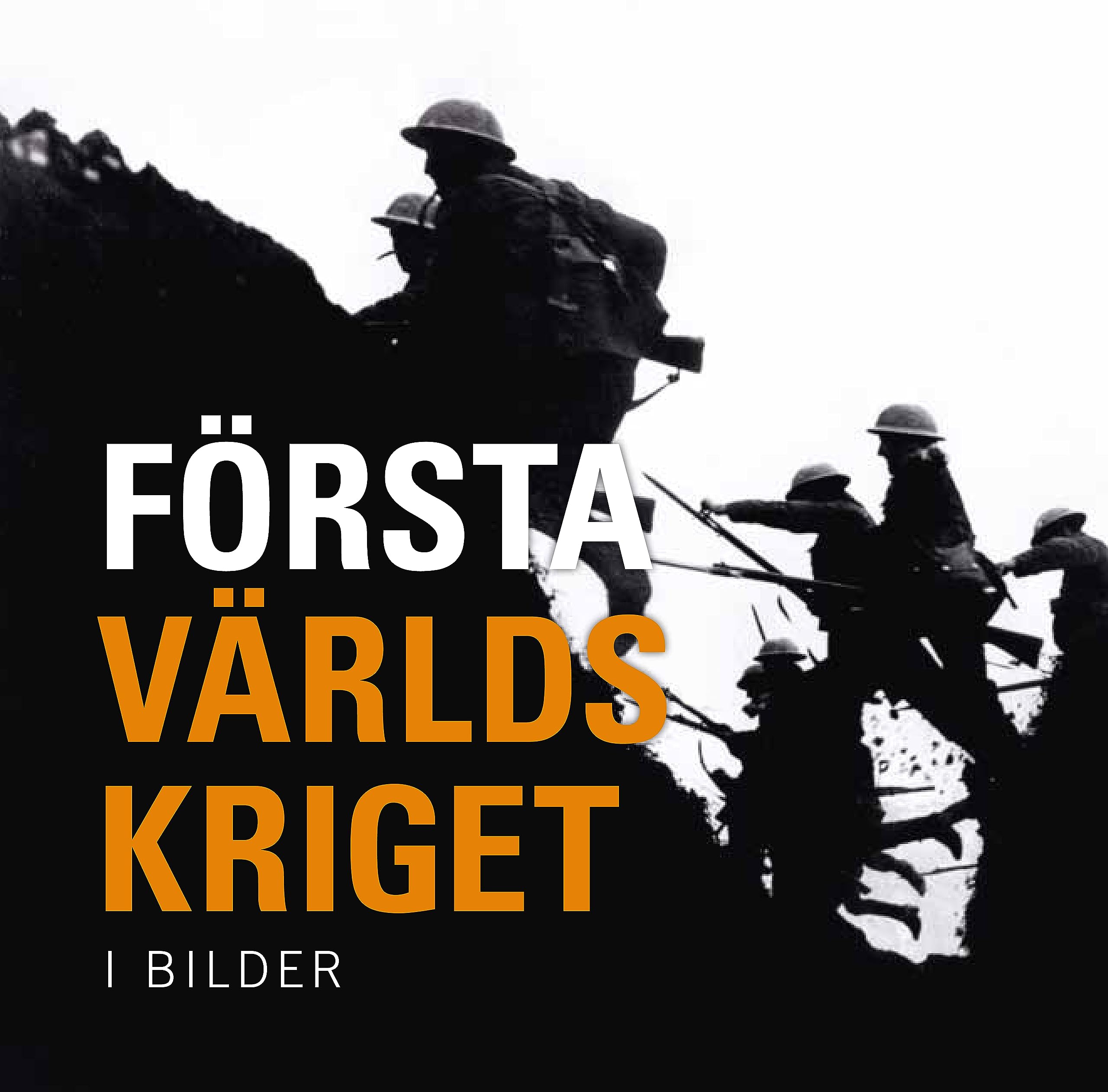 Första världskriget : i bilder