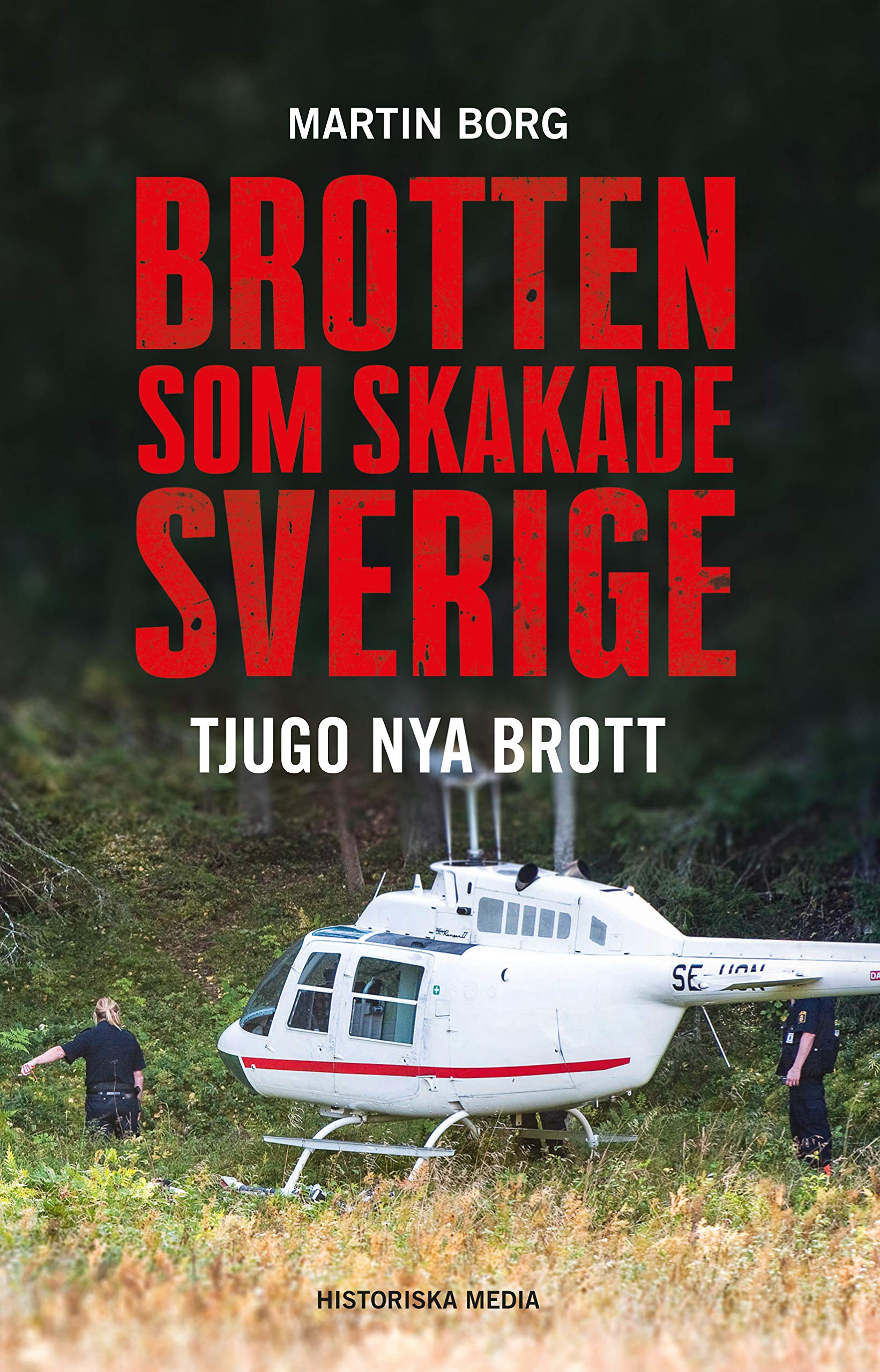 Brotten som skakade Sverige : tjugo nya brott