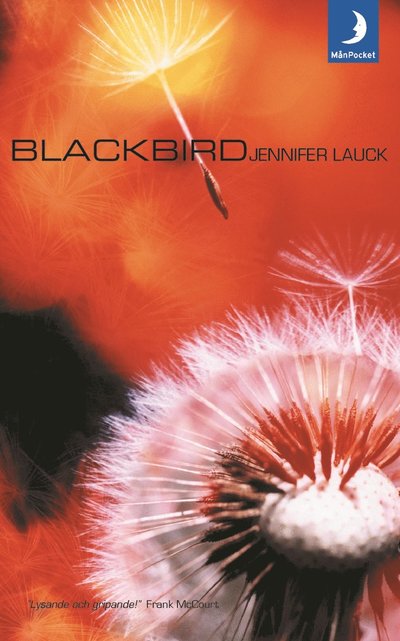 Blackbird