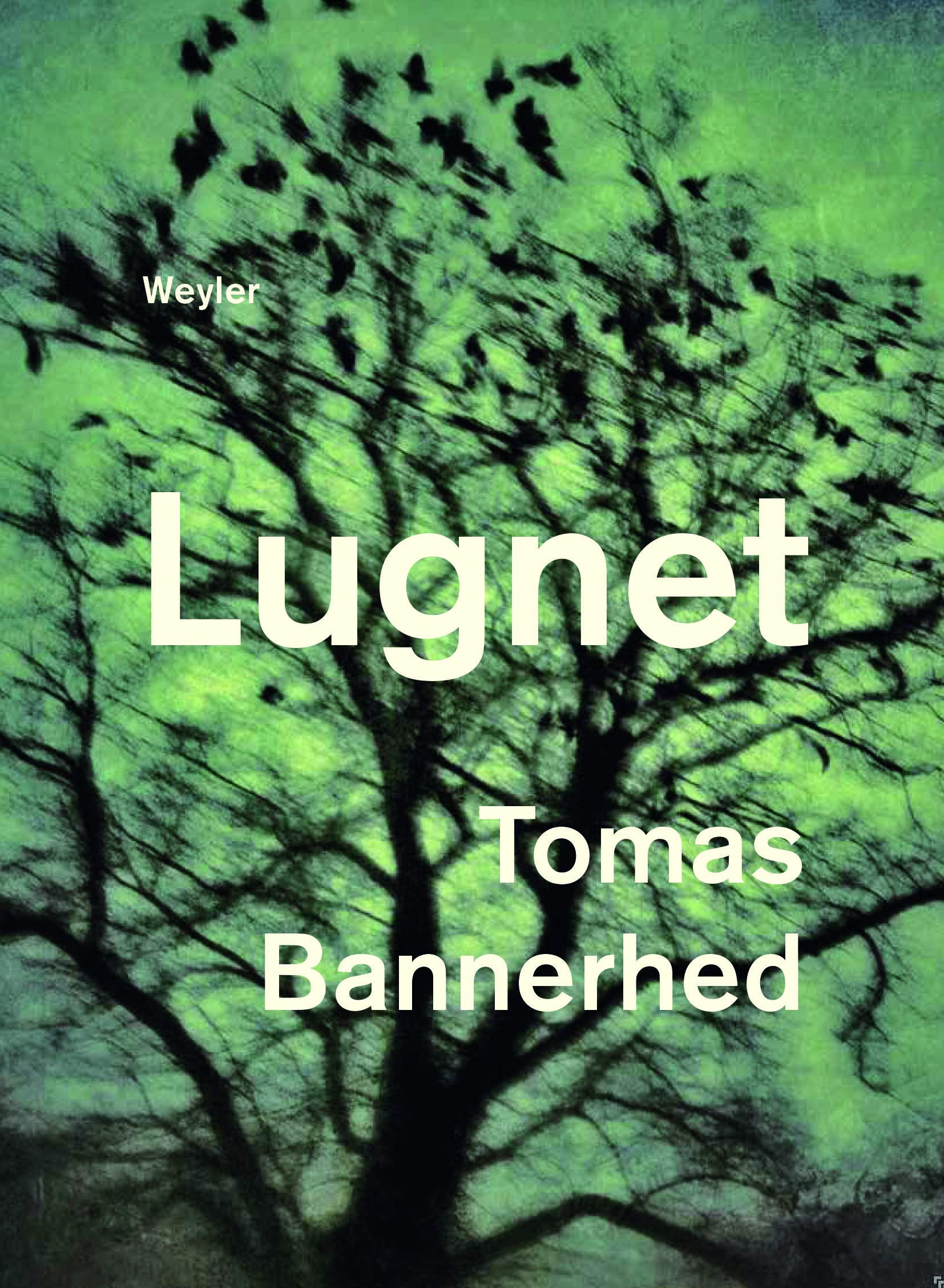 Lugnet