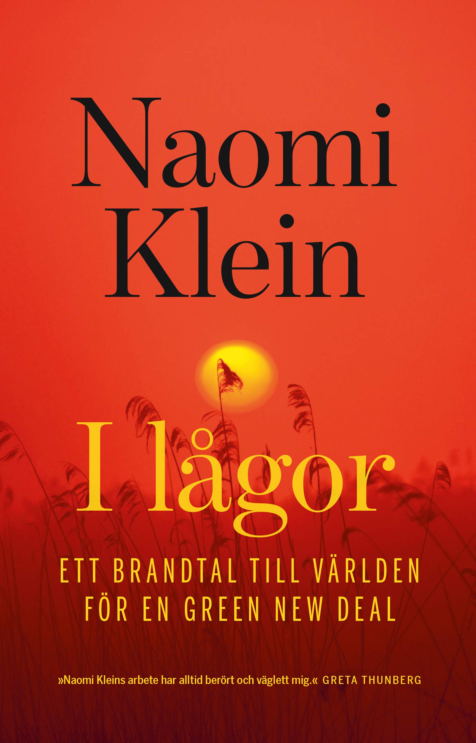 I lågor : ett brandtal till världen för en Green New Deal