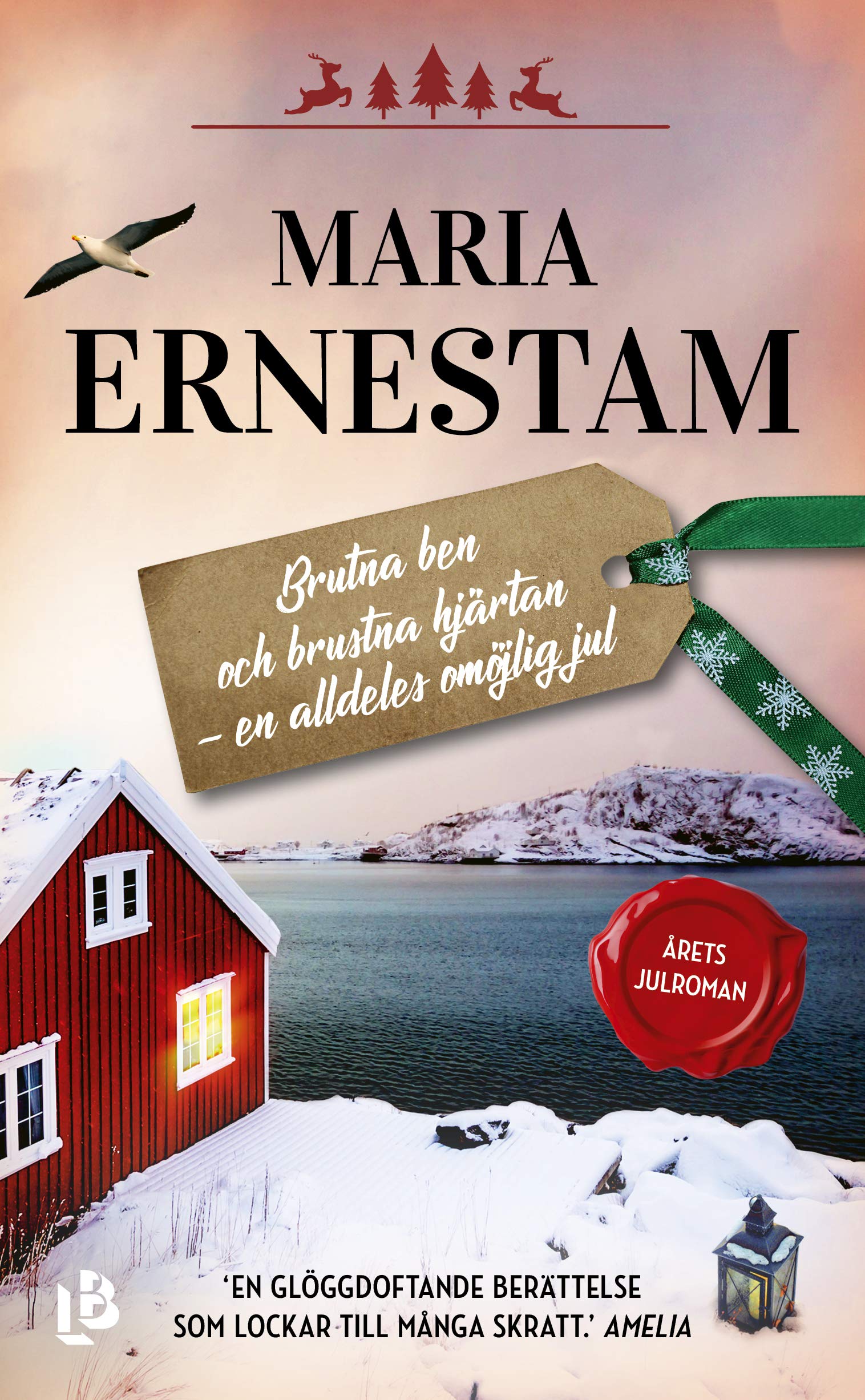 Brutna ben och brustna hjärtan - en alldeles omöjlig jul