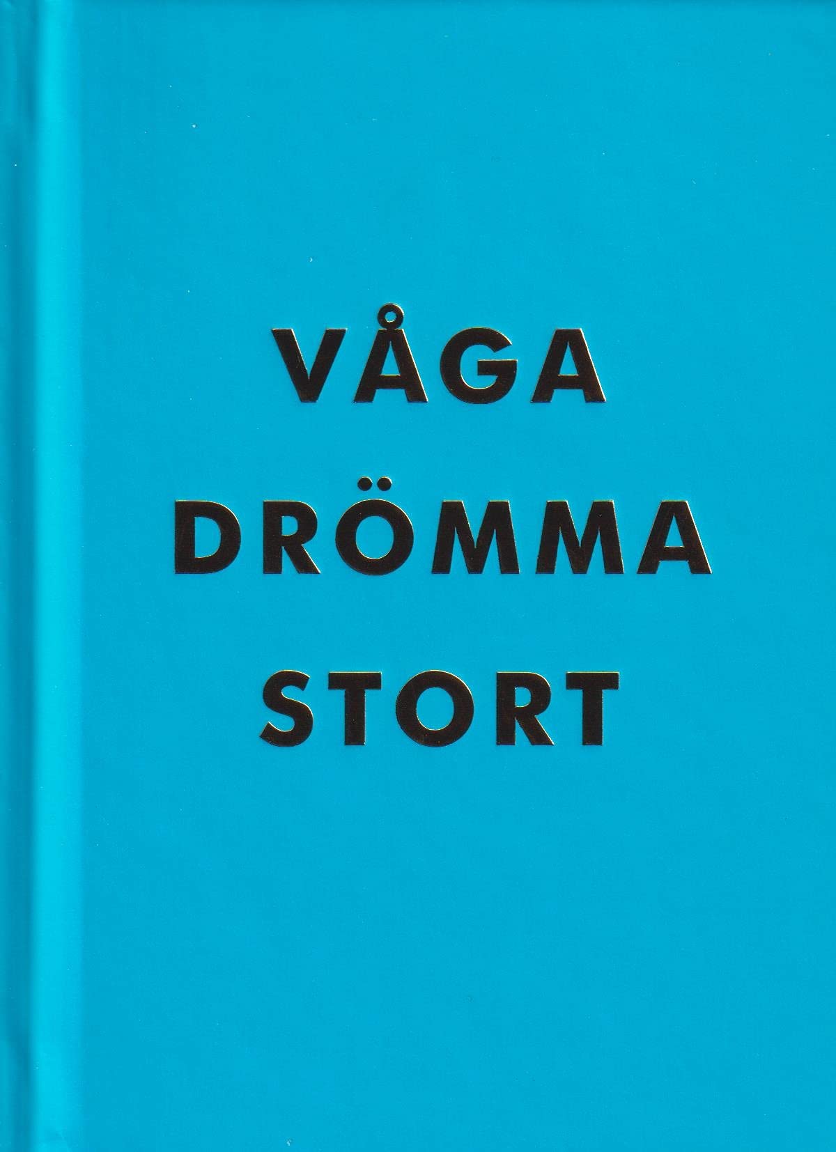 Våga drömma stort