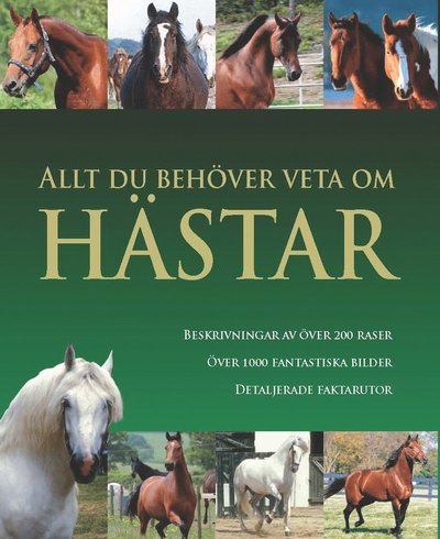 Allt du behöver veta om hästar