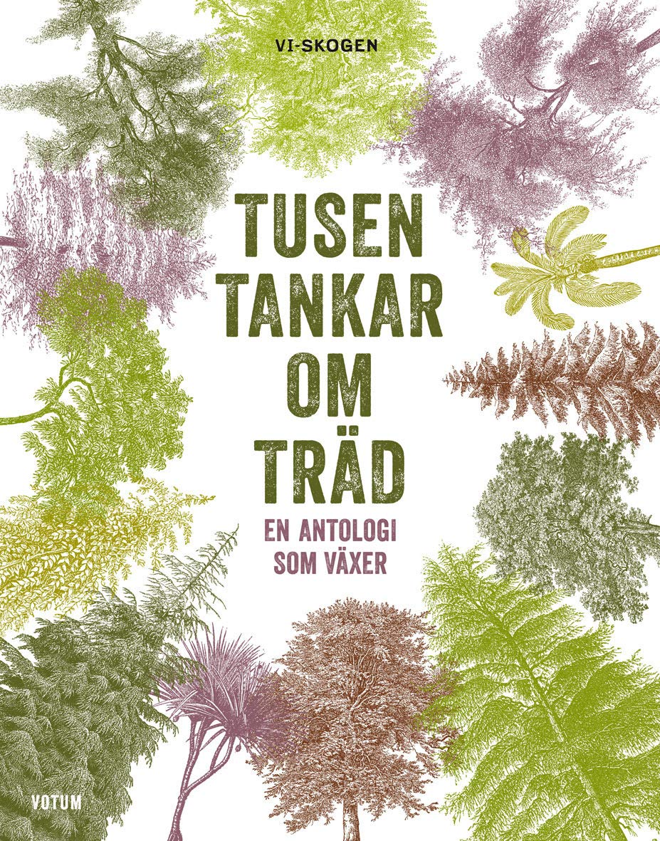 Tusen tankar om träd : en antologi som växer