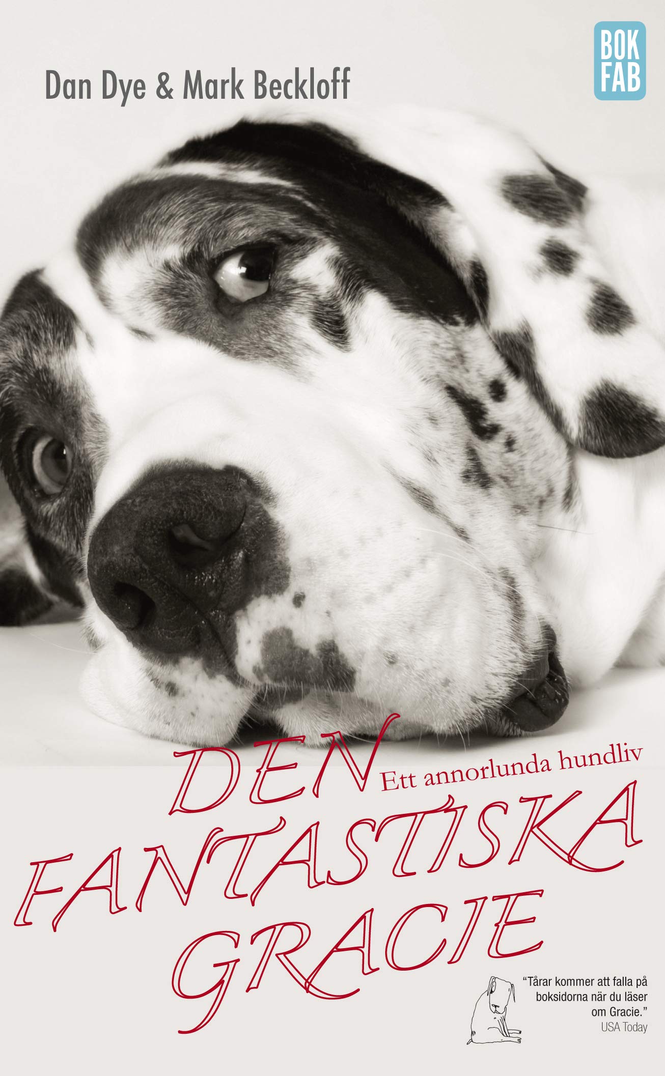 Den fantastiska Gracie : ett annorlunda hundliv