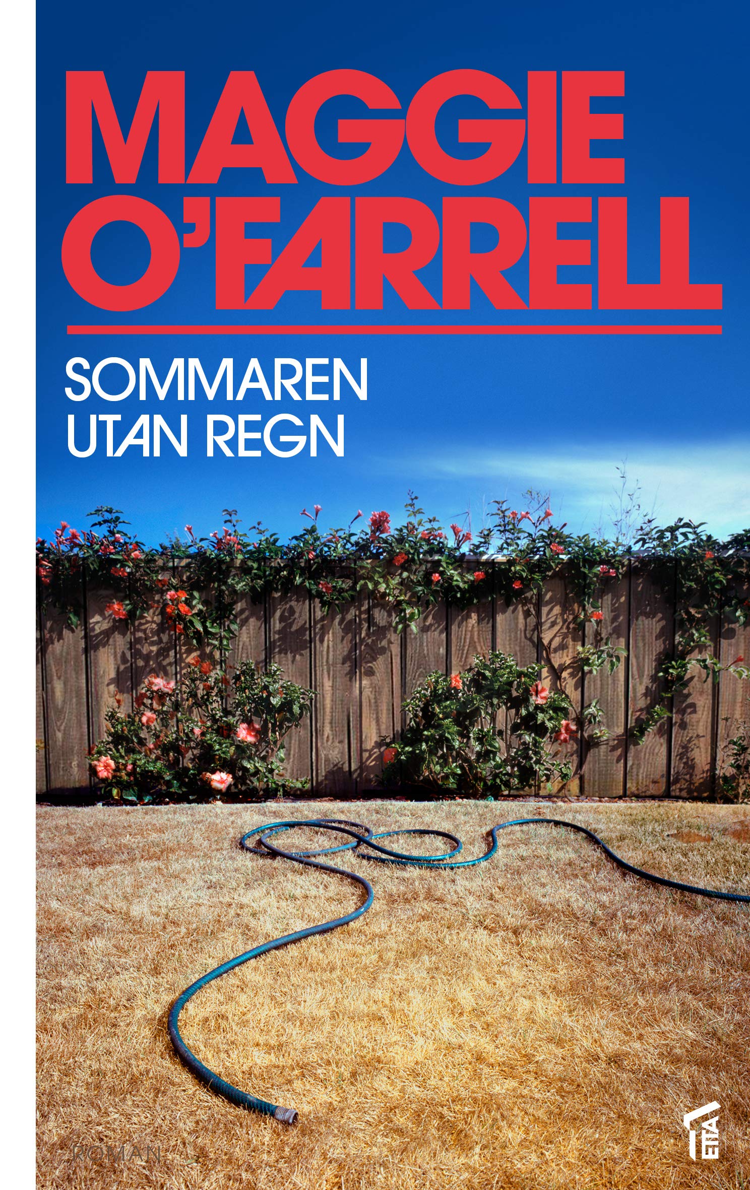 Sommaren utan regn