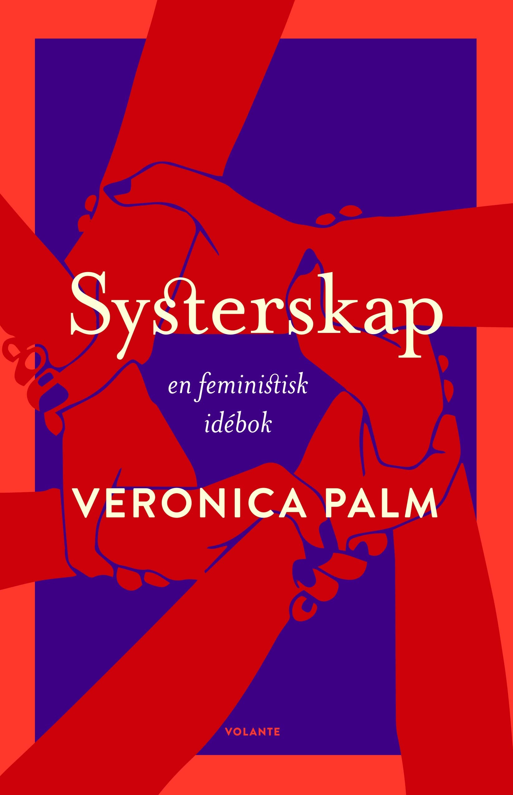 Systerskap : en feministisk idébok